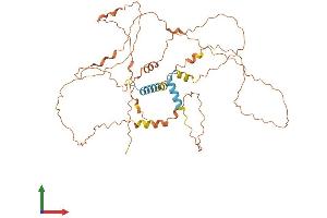 AlphaFold protein structure predicition of Human Recombinant C9orf50 Protein, UniprotID Q5SZB4