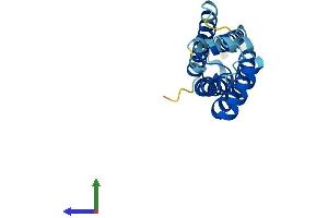 Protein Structure (PS) image for Tetraspanin 13 (TSPAN13) (AA 1-204) protein (His tag) (ABIN7544898)