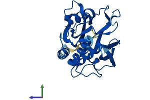 Protein Structure (PS) image for Nudix (Nucleoside Diphosphate Linked Moiety X)-Type Motif 7 (NUDT7) (AA 1-238) protein (His tag) (ABIN7549934)