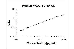 Vitamin K-dependent protein C (PROC) ELISA Kit