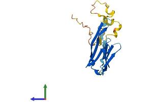 Protein Structure (PS) image for Crystallin, alpha B (CRYAB) (AA 1-175) protein (His tag) (ABIN7546772)