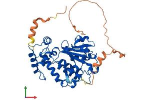 Protein Structure (PS) image for Clavesin 1 (CLVS1) (AA 1-354) protein (His tag) (ABIN7560984)