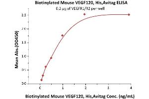 ELISA image for Vascular Endothelial Growth Factor A (VEGFA) (AA 27-146) (Active) protein (His tag,AVI tag,Biotin) (ABIN6809988)