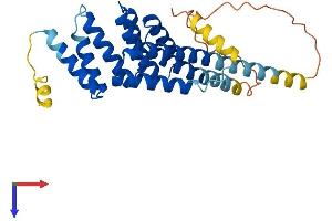 AlphaFold protein structure predicition of Human Recombinant ZHX1-C8orf76 Protein, UniprotID Q96EF9