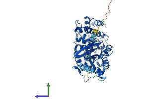 Protein Structure (PS) image for Guanine Nucleotide Binding Protein, alpha Stimulating, Olfactory Type (GNAL) (AA 1-381) protein (His tag) (ABIN7559326)