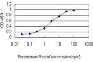 Detection limit for recombinant GST tagged MAPK12 is approximately 0. (MAPK12 抗体  (AA 251-367))