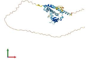 Protein Structure (PS) image for Necdin Homolog (Mouse) (NDN) (AA 1-321) protein (His tag) (ABIN7549753)