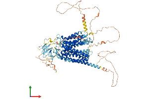 Protein Structure (PS) image for Solute Carrier Organic Anion Transporter Family, Member 5A1 (SLCO5A1) (AA 1-848) protein (His tag) (ABIN7555530)