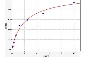 Keratin 18 (KRT18) ELISA Kit