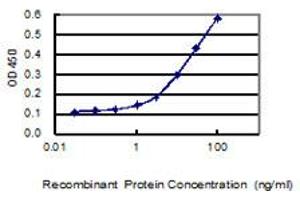 Detection limit for recombinant GST tagged SERTAD4 is 0. (SERTAD4 抗体  (AA 1-356))