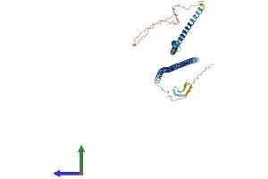 Protein Structure (PS) image for Cytokeratin 28 (KRT28) (AA 1-464) protein (His tag) (ABIN7548617)
