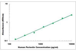 Representative Standard Curve (Periostin ELISA 试剂盒)