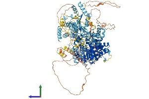 Protein Structure (PS) image for Class II, Major Histocompatibility Complex, Transactivator (CIITA) (AA 1-1155) protein (His tag) (ABIN7563535)