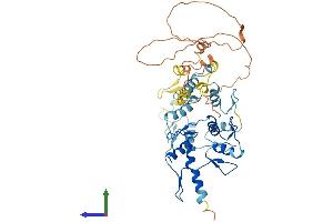 Protein Structure (PS) image for Zinc Finger Protein 766 (ZNF766) (AA 1-468) protein (His tag) (ABIN7545760)