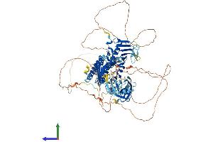 AlphaFold protein structure predicition of Mouse Recombinant Plk4 Protein, UniprotID Q64702