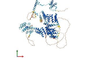 Protein Structure (PS) image for Sperm Associated Antigen 1 (SPAG1) (AA 1-926) protein (His tag) (ABIN7555623)