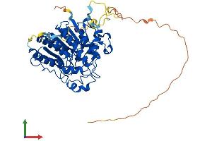 AlphaFold protein structure predicition of Human Recombinant HDAC1 Protein, UniprotID Q13547