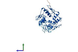 Protein Structure (PS) image for Zinc Finger Protein 146 (ZNF146) (AA 1-292) protein (His tag) (ABIN7550268)