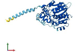 AlphaFold protein structure predicition of Human Recombinant MEST Protein, UniprotID Q5EB52
