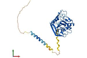 AlphaFold protein structure predicition of Human Recombinant B4GALT7 Protein, UniprotID Q9UBV7