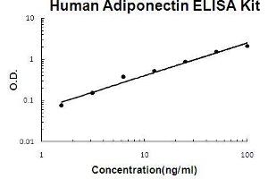 Human Adiponectin PicoKine ELISA Kit standard curve (ADIPOQ ELISA 试剂盒)