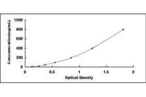 ELISA image for Haptoglobin (HP) ELISA Kit (ABIN1874311)