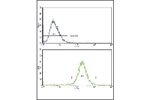 Flow cytometric analysis of HepG2 cells using SCP2 Antibody (Center)(bottom histogram) compared to a negative control cell (top histogram). (SCP2 抗体  (AA 358-385))