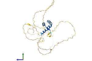 Protein Structure (PS) image for Distal-Less Homeobox Protein 2 (DLX2) (AA 1-328) protein (His tag) (ABIN7547093)