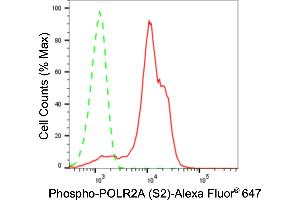 Flow cytometric analysis of Phospho-POLR2A (S2) expression in HeLa cells using Phospho-POLR2A (S2) antibody (ABIN7800262), 1:2,000). (Recombinant POLR2A/RPB1 抗体  (pSer2))