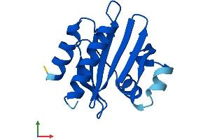 Protein Structure (PS) image for Profilin 4 (PFN4) (AA 1-129) protein (His tag) (ABIN7561044)