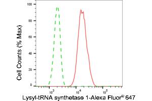 Flow cytometric analysis of lysyl-tRNA synthetase 1 expression in HepG2 cells using lysyl-tRNA synthetase 1 antibody (ABIN7800951), 1:2,000).
