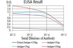 Black line: Control Antigen (100 ng);Purple line: Antigen (10ng); Blue line: Antigen (50 ng); Red line:Antigen (100 ng) (IDH1 抗体  (AA 156-298))