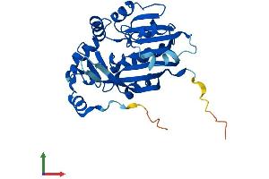 Protein Structure (PS) image for Methyltransferase Like 6 (METTL6) (AA 1-284) protein (His tag) (ABIN7549367)