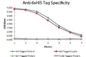 ELISA image for anti-His Tag antibody (ABIN964552)