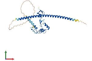 Protein Structure (PS) image for Family with Sequence Similarity 76, Member A (FAM76A) (AA 1-307) protein (His tag) (ABIN7560220)