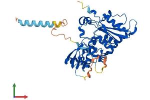 AlphaFold protein structure predicition of Human Recombinant FUT1 Protein, UniprotID P19526
