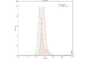 Detection of IL1R1 in Raji human Burkitt's lymphoma cell line using Polyclonal Antibody to Interleukin 1 Receptor Type I (IL1R1) (IL1R1 抗体  (AA 386-553))