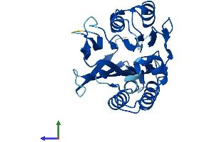 AlphaFold protein structure predicition of Mouse Recombinant Tango2 Protein, UniprotID P54797