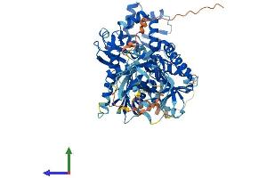 Protein Structure (PS) image for Heat Shock 70kD Protein 12B (HSPA12B) (AA 1-686) protein (His tag) (ABIN7548323)