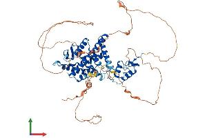 Protein Structure (PS) image for Estrogen Receptor 1 (ESR1) (AA 1-595) protein (His tag) (ABIN7553835)