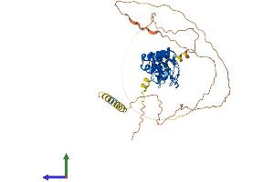 Protein Structure (PS) image for Ankyrin Repeat Domain 10 (ANKRD10) (AA 1-420) protein (His tag) (ABIN7552283)