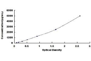 Typical standard curve (Annexin a1 ELISA 试剂盒)