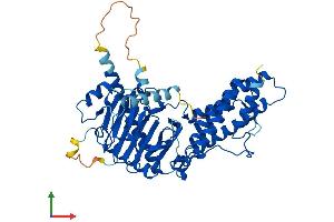 Protein Structure (PS) image for Fat Mass and Obesity-Associated (FTO) (AA 1-505) protein (His tag) (ABIN7553968)