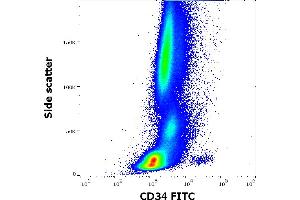 Flow cytometry surface staining pattern of human peripheral whole blood stained using anti-human CD34 (4H11[APG]) FITC antibody (20 μL reagent / 100 μL of peripheral whole blood).