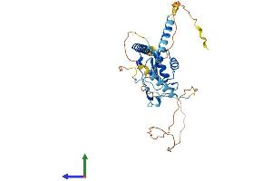 AlphaFold protein structure predicition of Human Recombinant RBM48 Protein, UniprotID Q5RL73 (C7orf64 Protein (AA 1-367) (His tag))