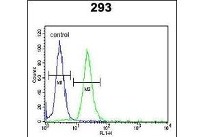 LMBR1L Antibody (C-term) (ABIN653751 and ABIN2843051) flow cytometric analysis of 293 cells (right histogram) compared to a negative control cell (left histogram).