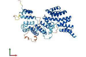 AlphaFold protein structure predicition of Human Recombinant TTC8 Protein, UniprotID Q8TAM2