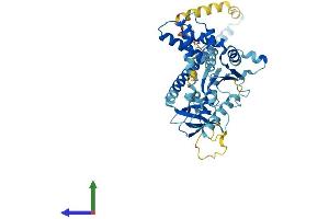 Protein Structure (PS) image for Proteasome (Prosome, Macropain) 26S Subunit, ATPase, 3 (PSMC3) (AA 1-442) protein (His tag) (ABIN7562649)