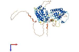 AlphaFold protein structure predicition of Human Recombinant M1AP Protein, UniprotID Q8TC57 (Meiosis 1 Associated Protein (M1AP) (AA 1-530) protein (His tag))