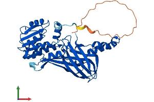 Protein Structure (PS) image for Protein Arginine Methyltransferase 6 (PRMT6) (AA 1-378) protein (His tag) (ABIN7564068)